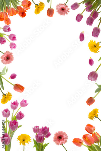 Beautiful flower frame