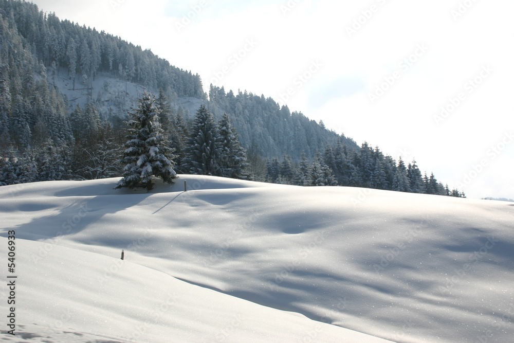 Winterlandschaft