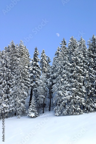 Winterlandschaft