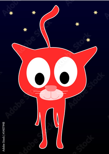 Kitten @ night