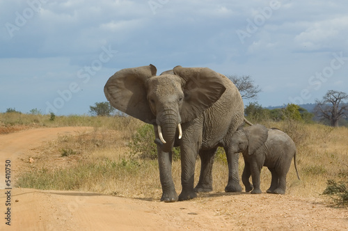 Elephant with child