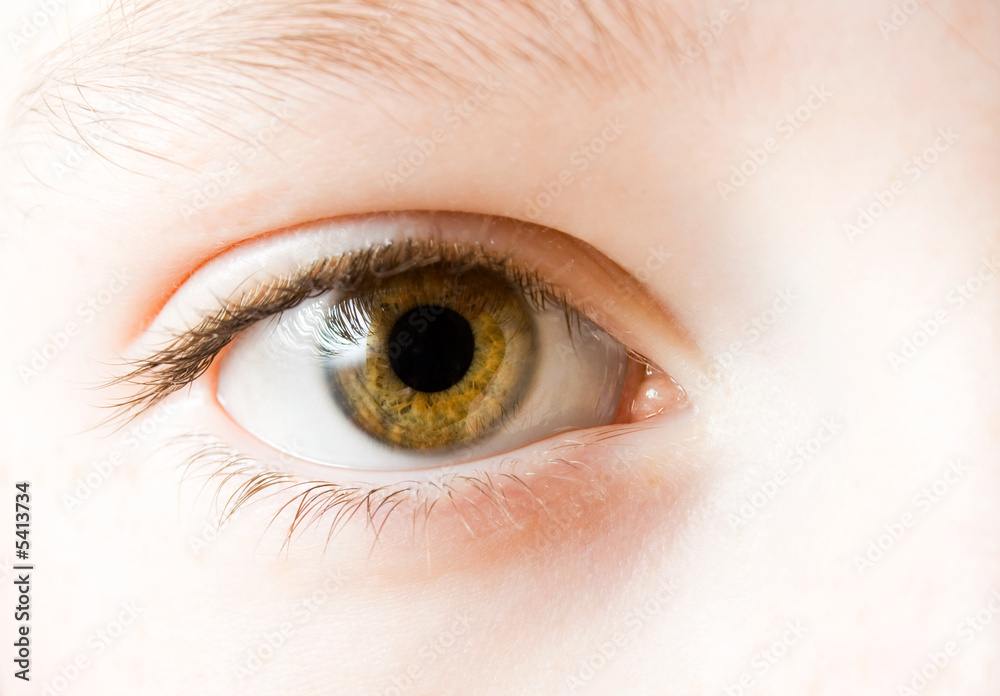 Obraz premium Oeil et regard