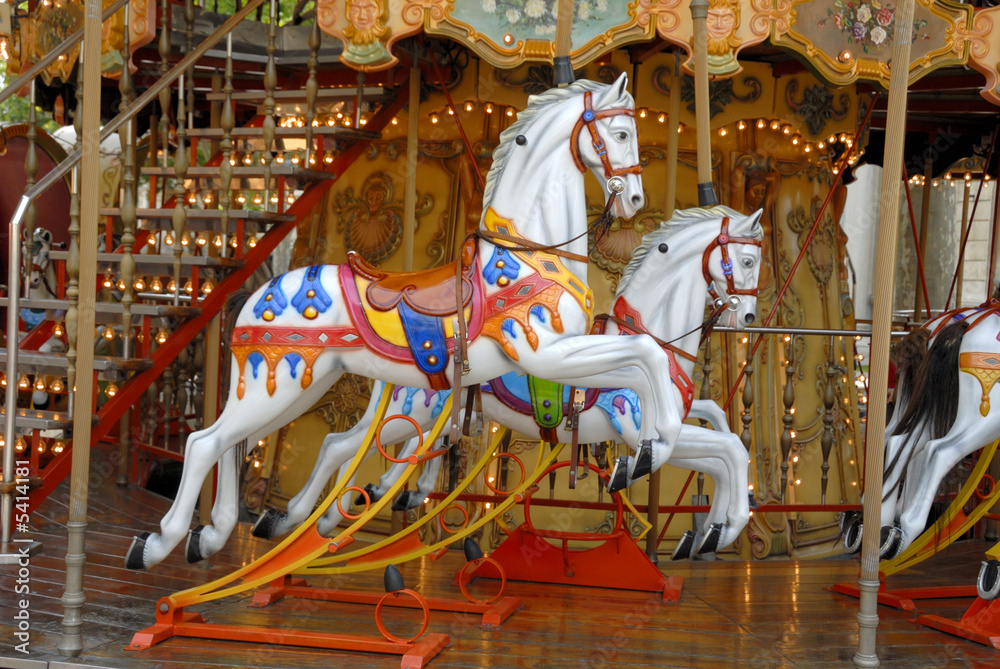 Carousel Horses in Avignon, France