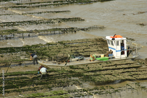 Barge d'ostréiculteur sur la Seudre, Charente Maritime France