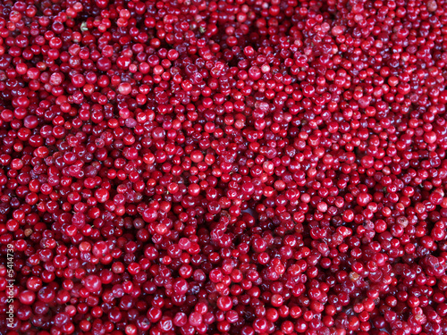Lingonberries (Vaccinium vitis-idaea) in the market, close-up