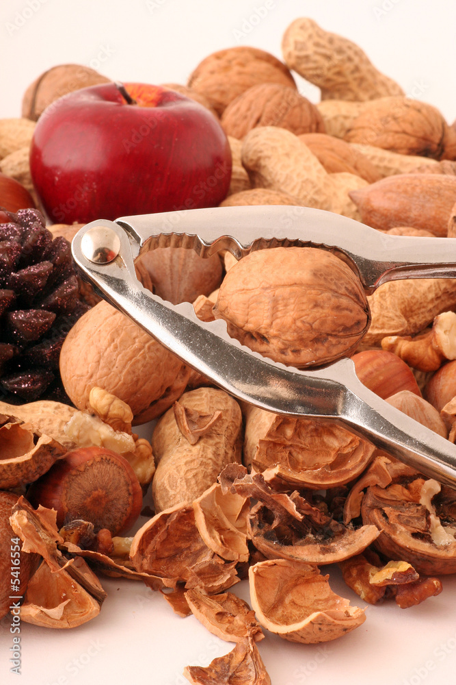 Fototapeta premium Nut