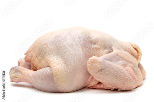 object on white - food - chicken