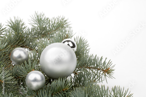 Horizontal image of  three  balls on the piny branch