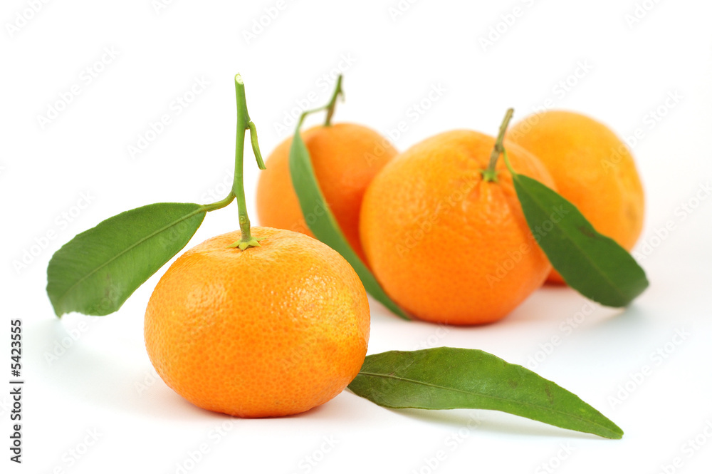 Mandarines isolated on white background Mandarines isolated on white background