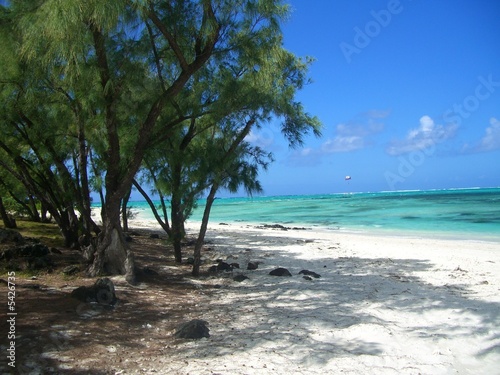 Mauritius - Ile aux Cerfs (Indian Ocean)