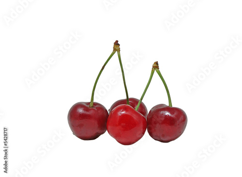 Four fresh cherries with waterdrops against white background.
