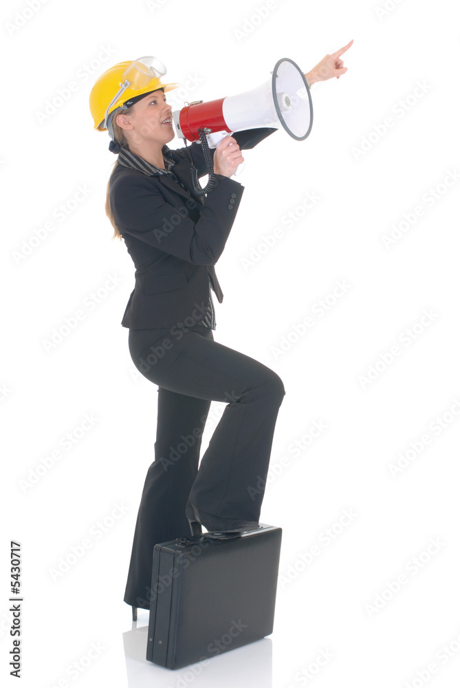 Attractive successful young businesswoman, supervisor Attractive successful young businesswoman, supervisor
