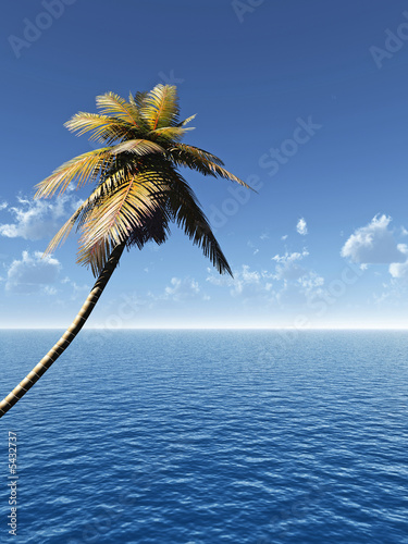 Fototapeta Naklejka Na Ścianę i Meble -  Coconut palm and blue sky with clouds - 3D scene.