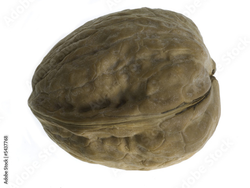 Принти на полотні wrinkled shell houses a nut that is also wrinkled
