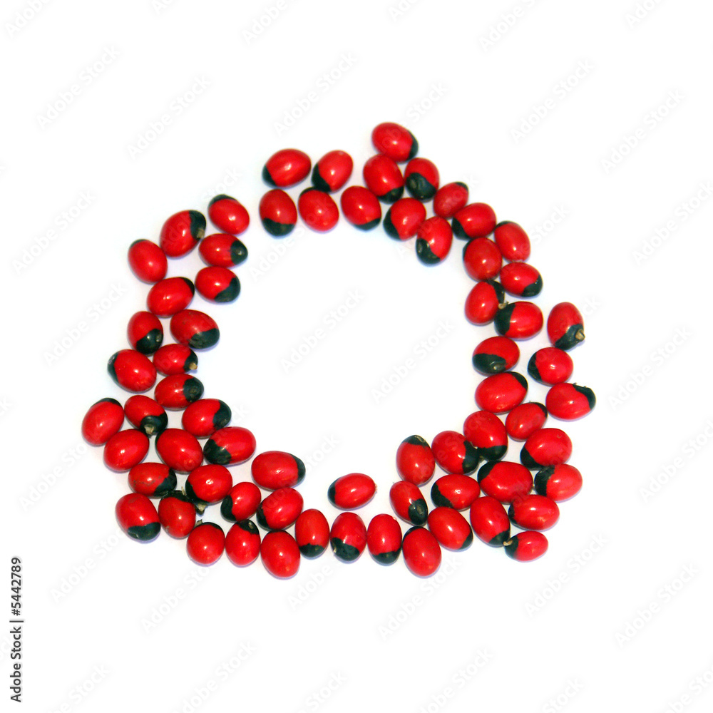 rond de coccinelles rond de coccinelles