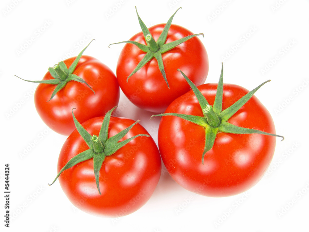 Isolated fresh tomatoes with stems close-up (vivid colors) Isolated fresh tomatoes with stems close-up (vivid colors)