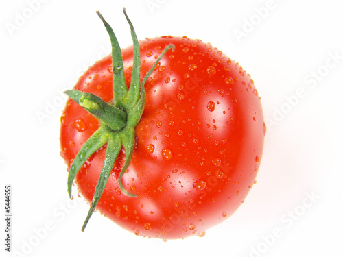 IIsolated fresh tomato with stem, water drops (vivid colors)