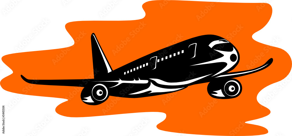 Airplane in flight Airplane in flight