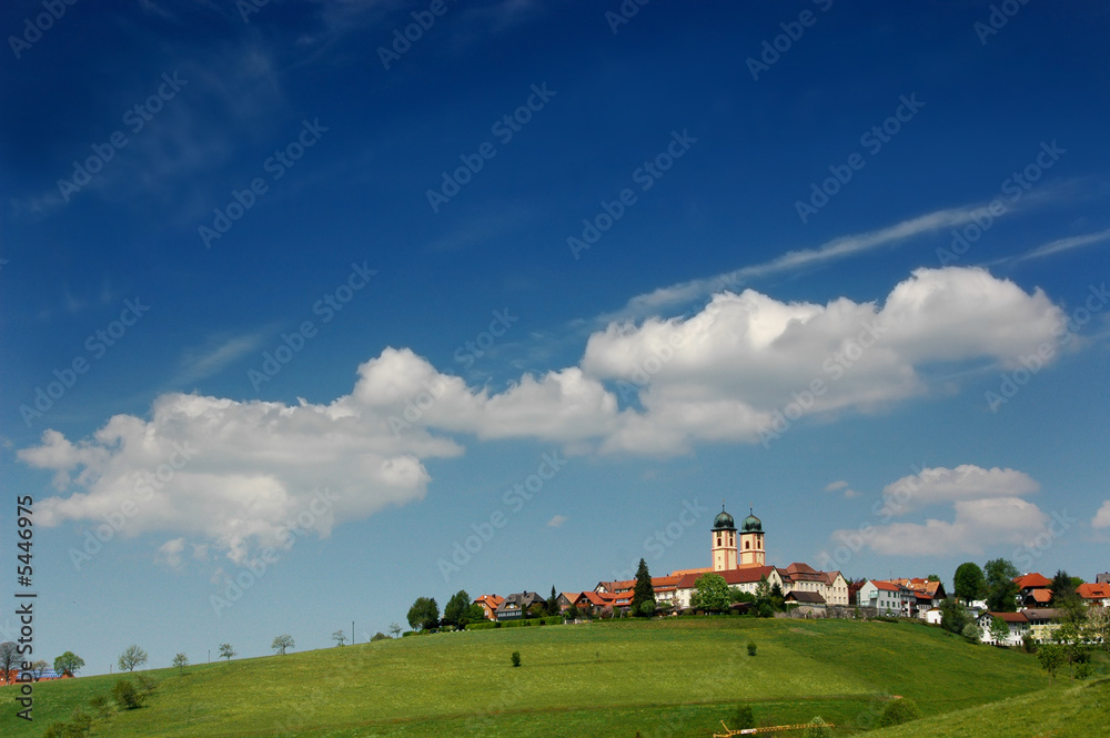 Obraz premium Schwarzwald