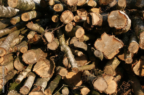 Stack of logs