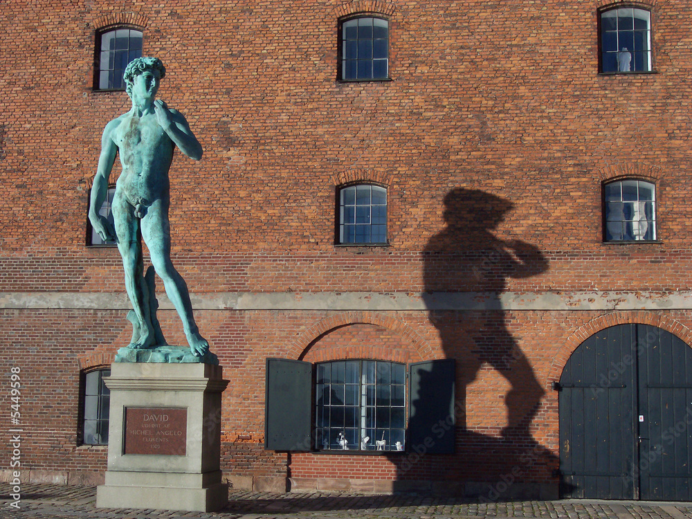 Naklejka premium David and his shadow