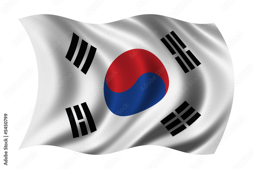Flag of South Korea waving in the wind Flag of South Korea waving in the wind