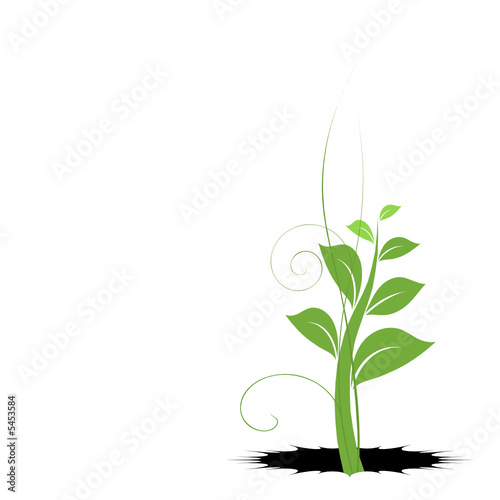 plante vecteur, jeune pousse symbole de vie et de naissance