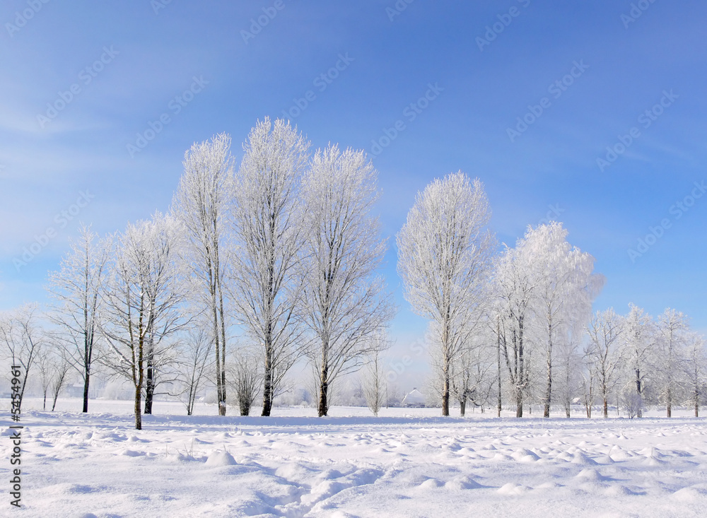Winter scenery Winter scenery