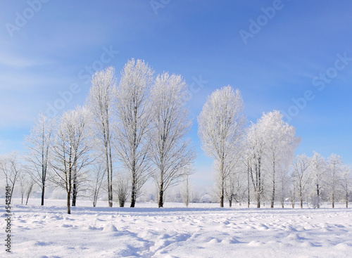 Winter scenery © Liga Lauzuma