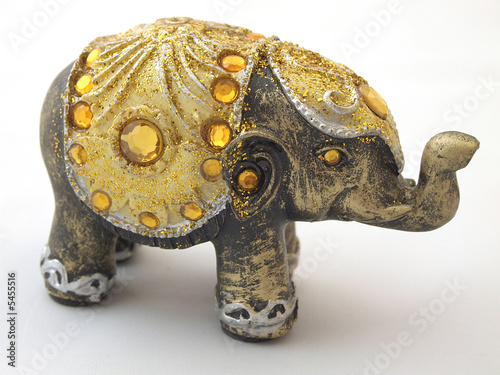 Indian elefant