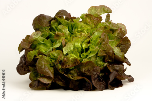 Fototapet Salade