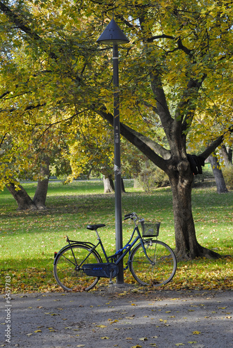 Bicicletta al parco