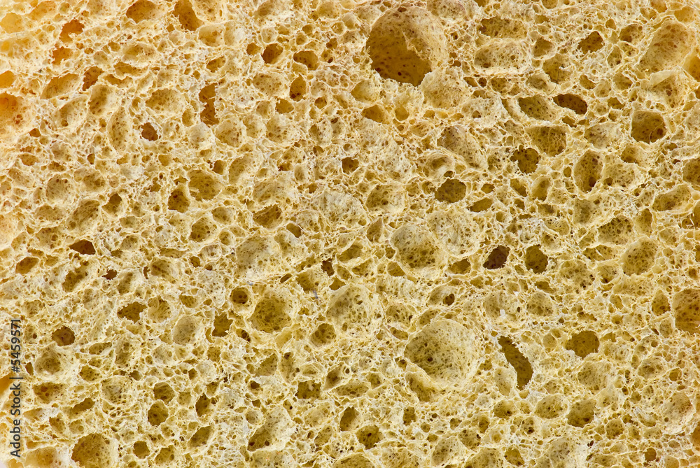 Yellow sponge in closeup Yellow sponge in closeup