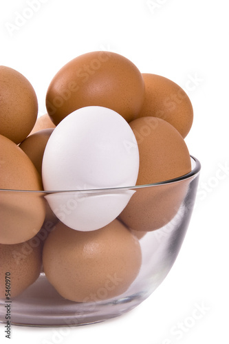 Brown and White Eggs