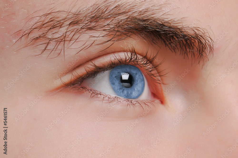 Obraz premium Oeil bleu