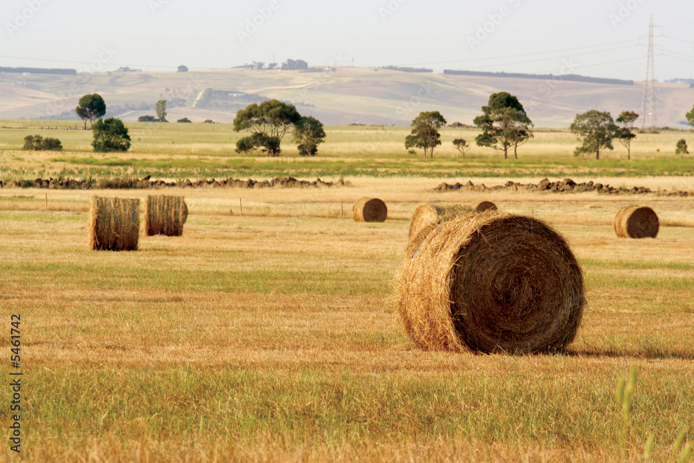 Hay bales Hay bales