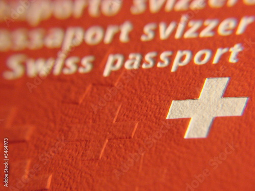 auschnitt schweizer pass