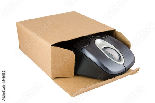 PC Mouse in Cardboard Box