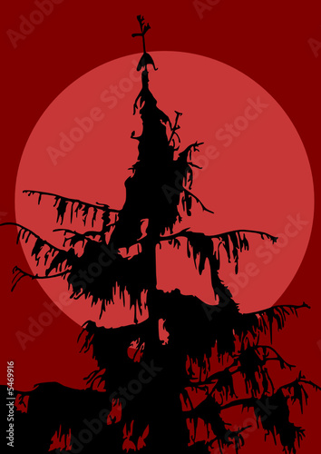 paysage de lune