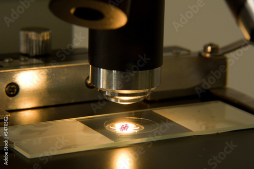Microscope
