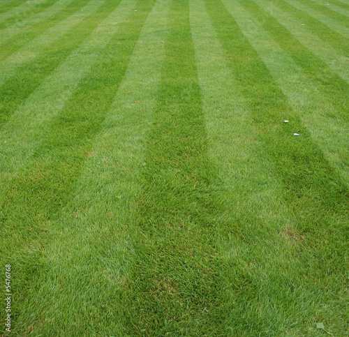 Lawn cut with stripes
