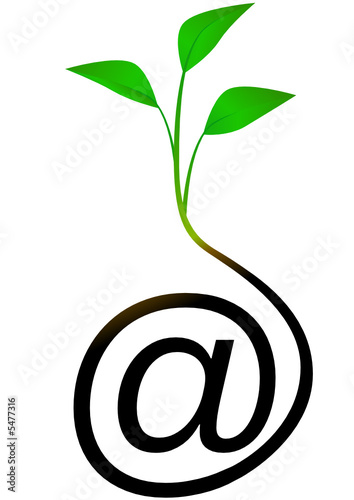 Arobase en germination