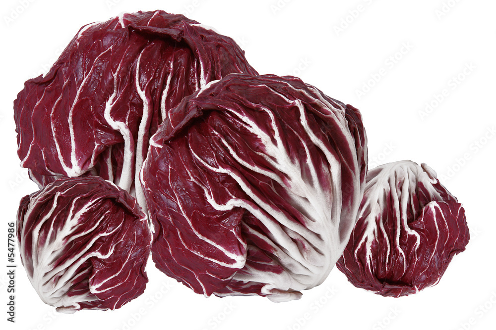 Fototapeta premium radicchio