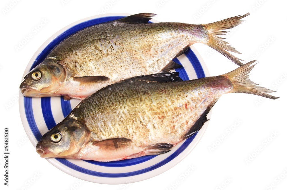 two fishes on plate isolated on white two fishes on plate isolated on white