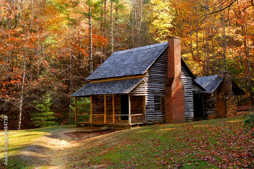 perfect little vintage Homestead in the smokey mountains