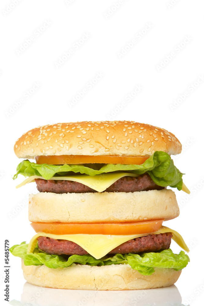 Double cheeseburger, reflected on white background Double cheeseburger, reflected on white background