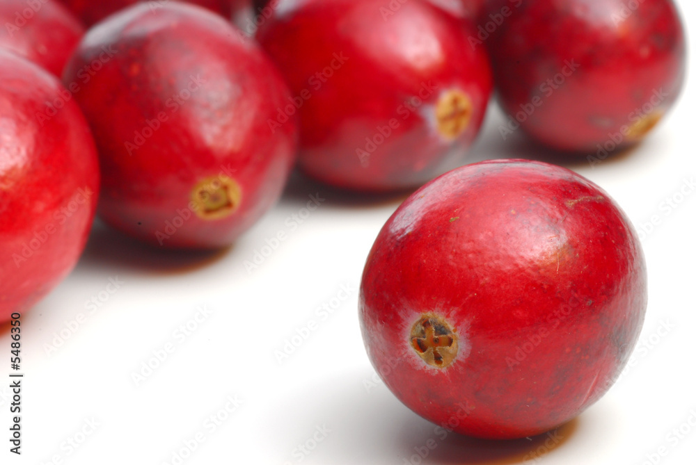 Cranberry isolated on white background 