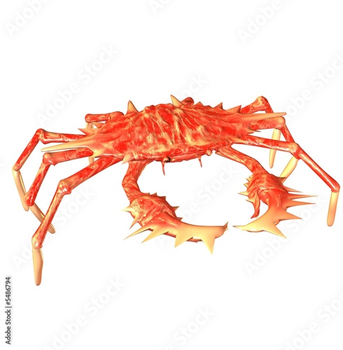 crab