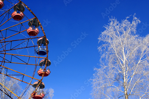 Big wheel and birches in hoarfrost