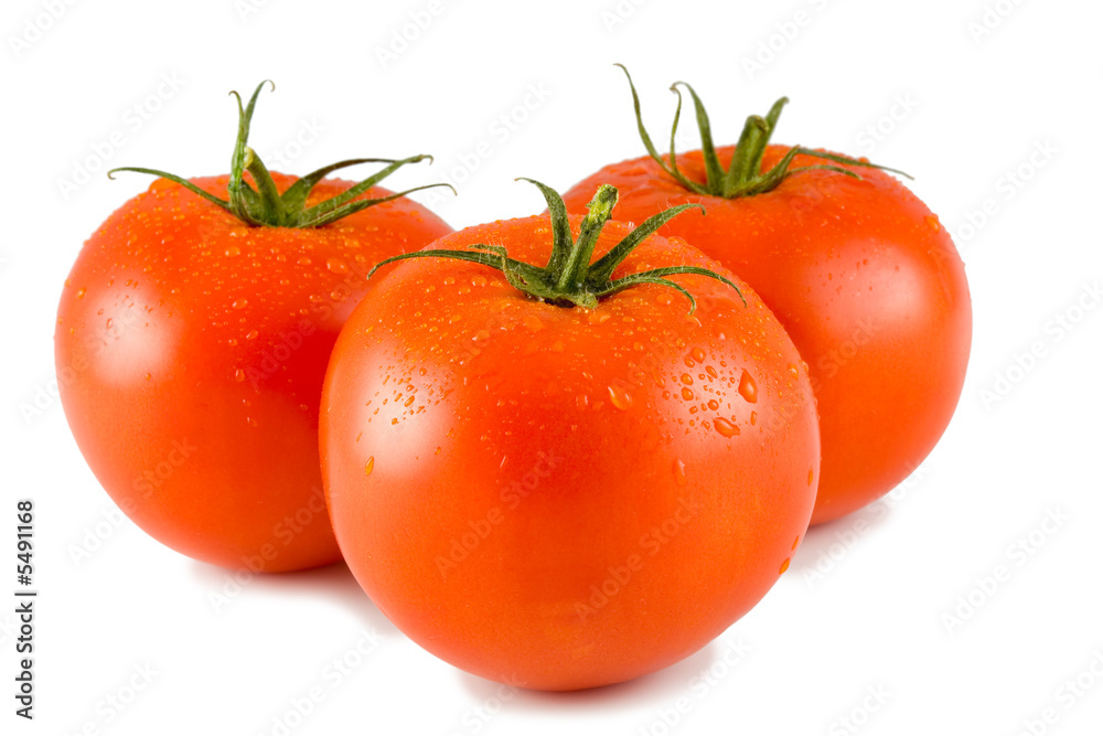 three full tomatoes with water drops three full tomatoes with water drops